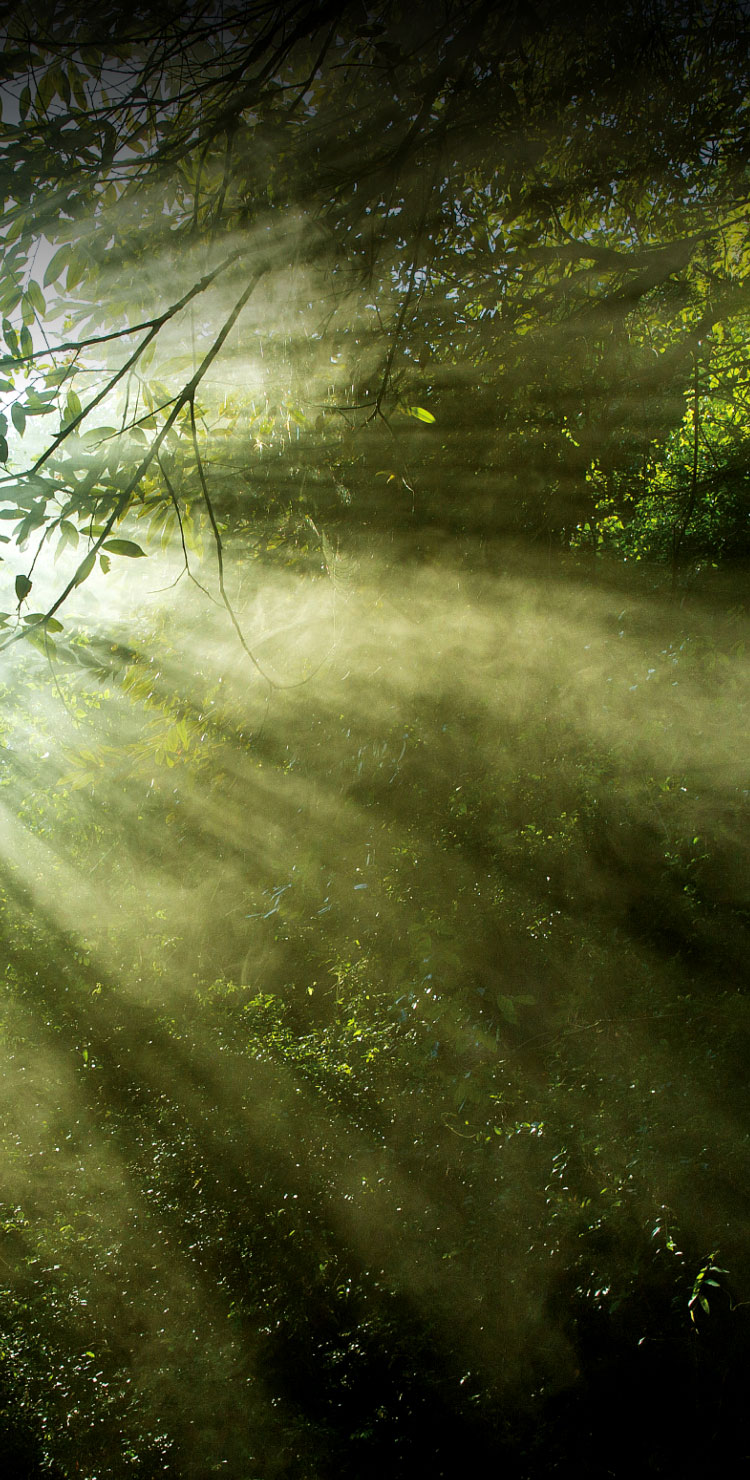 讲述健康好光的故事